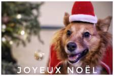 Laëtitia FUCHS - LYON EYE'S PHOTOGRAPHY