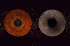 Jean-Marc PENRATH - STUDIO DES VIGNES D'AVARICUM