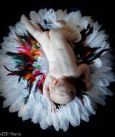 Hervé DIOLOGENT - HSD PHOTO